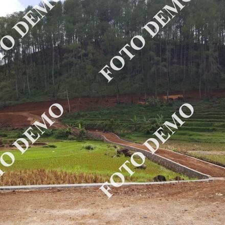 Album : Dokumentasi Kegaitan Fisik Nagari Tahun 2017